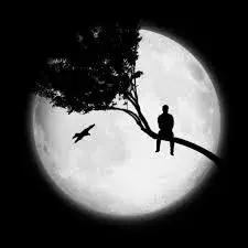 black whatsapp dp download.5