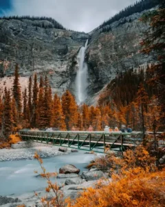 eye catching nature dp for whatsapp