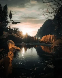 eye catching nature dp for whatsapp3