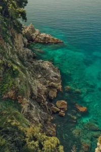 nature dp for whatsapp